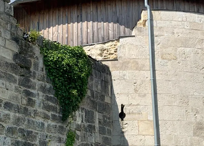 Jolie Maison Dans Petit Village Σπίτι διακοπών Vignory